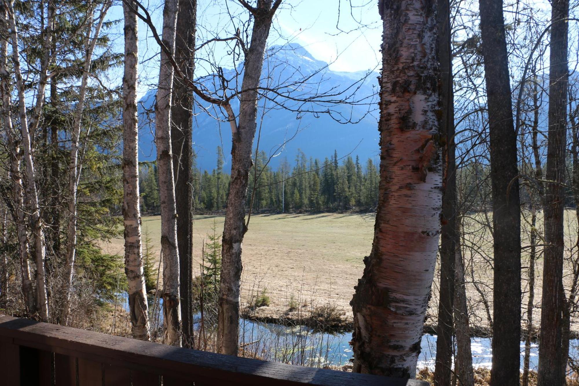 Rocky Mountain Cabins And Home Golden Exterior foto